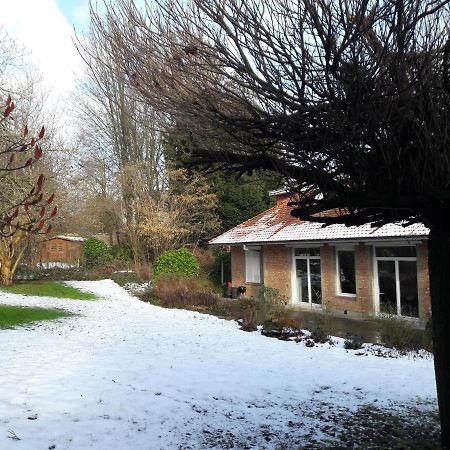 Un Grand Jardin En Ville. Chez Guy Uccle Zewnętrze zdjęcie