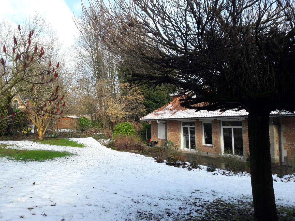 Un Grand Jardin En Ville. Chez Guy Uccle Zewnętrze zdjęcie